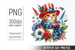 4th of July Cat Clipart PNG, Animal illustration for crafts Product Image 1