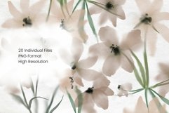 Brown and Beige Watercolour Flowers Clipart Product Image 2