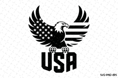 USA Eagle Svg | 4th of july Svg | Svg Cut Files Product Image 1