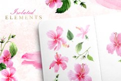 Pink Hibiscus Watercolor png Product Image 6