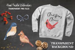 Christmas Birds Festive Fun Leaves Watercolor Set Painted Product Image 4