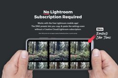 20 Forestry Lightroom Presets &amp; LUTs Product Image 5