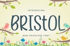 Web Font Bristol Product Image 1