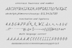 Loving de Rome. ink edge handwritten font Product Image 6