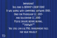 Shabby Chic Lace Font Bundles, Flora Lace font, Typography Product Image 5