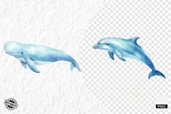 Watercolor Sea Life PNG Clipart Product Image 1