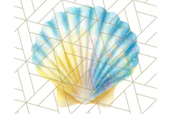 Sky Blue and Sunshine Yellow Summer Clipart PNG, Tropical Product Image 4