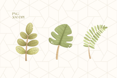 Jungle Leaves Clipart PNG Product Image 3