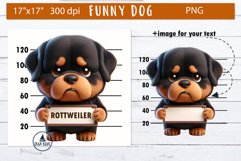 Funny dog sublimation | 3d dog png | Dog bundle Product Image 14