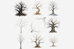 Bare Winter Trees PNG Clipart Bundle | Winter Tree Product Image 2