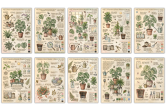 Summer Houseplants Junk Journal Pages Product Image 2