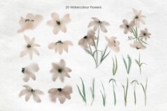 Brown and Beige Watercolour Flowers Clipart Product Image 3