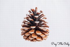 Rustic Christmas Sublimation Clipart PNG Product Image 1