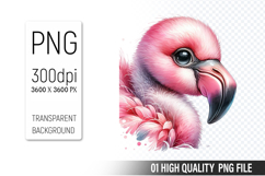 Cute Flamingo Clipart PNG, Printable Animals, Wildlife Desig Product Image 1