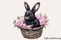 Pink Black Easter Clipart PNG Product Image 1
