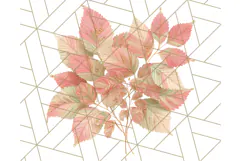 Fall Foliage Clipart PNG, Pink and Green Leaves Product Image 4