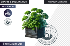 Medicinal Herbs clipart PNG, Apothecary Botanical Graphic Product Image 1