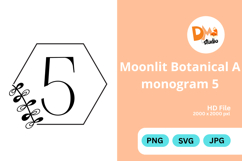 Moonlit Botanical Monogram Product Image 1