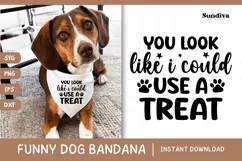 Funny Dog Bandana Quotes SVG | I Could Use A Treat Product Image 1