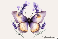 Pastel Easter Butterflies Clipart PNG Product Image 1