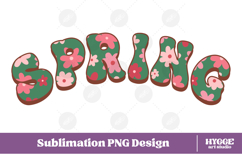 Floral Spring Png Retro Flowers Sublimation Daisy Daisies Product Image 1