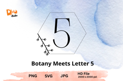Botany Meets Letter Product Image 1