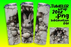 Bunny Hole Journey Sublimation Product Image 1