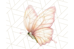 Pastel Fairies and Butterflies PNG, Spring Fantasy Clipart Product Image 4