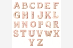 Floral Lace Alphabet PNG Bundle | 26 Feminine Letters, Pink Product Image 6