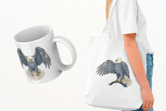 Patriotic American Eagle Clipart Product Image 3