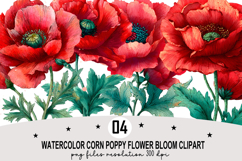 Watercolor Corn Poppy Flower Bloom Clipart Watercolor PNG Product Image 1