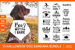 15 Funny Halloween Dog Bandana Quote SVG Bundle V2 Product Image 1