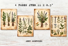 Vintage Herbs Junk Journal Pages Botanical Printable Product Image 2