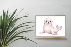 Cute Baby Seal Ocean Animal Marine Mammal PNG Summer Product Image 2