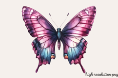 Colorful Spring Butterfly Clipart Bundle PNG Product Image 10