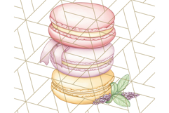 Tea Time Animal Clipart PNG Woodland Forest, Cottagecore Png Product Image 4