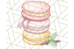 Tea Time Animal Clipart PNG Woodland Forest, Cottagecore Png Product Image 4