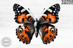 Halloween Butterfly Clipart - Halloween Sublimation PNG Product Image 1