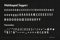 Marseille - Serif Font Product Image 9