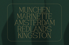 Vantique - Serif Font Product Image 3