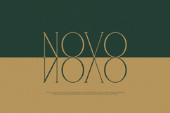 Vantique - Serif Font Product Image 4