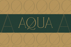 Vantique - Serif Font Product Image 5