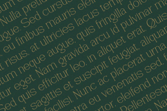Vantique - Serif Font Product Image 6