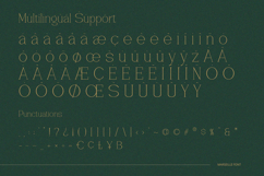 Vantique - Serif Font Product Image 8