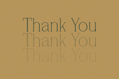 Vantique - Serif Font Product Image 9