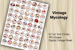 Digital Collage Sheet - Vintage Mycology Product Image 2