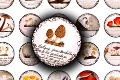 Digital Collage Sheet - Vintage Mycology Product Image 3