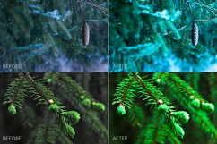 Fir Branches Lr Presets Product Image 4