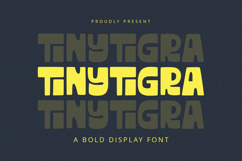 TinyTigra - Display Font Product Image 1