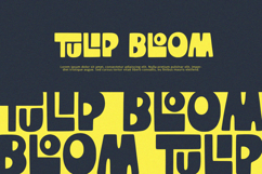 TinyTigra - Display Font Product Image 4